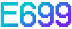 e699